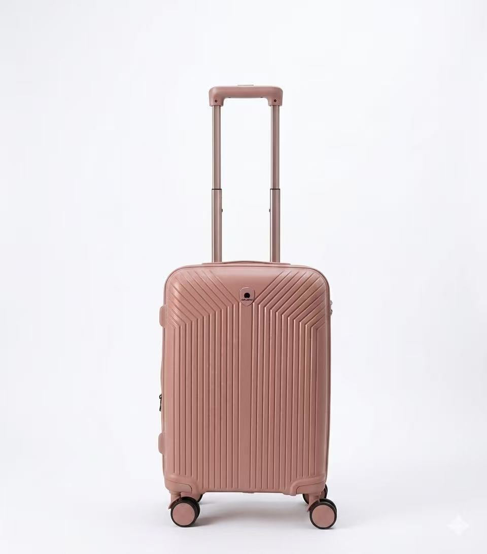 Delsey Luggage