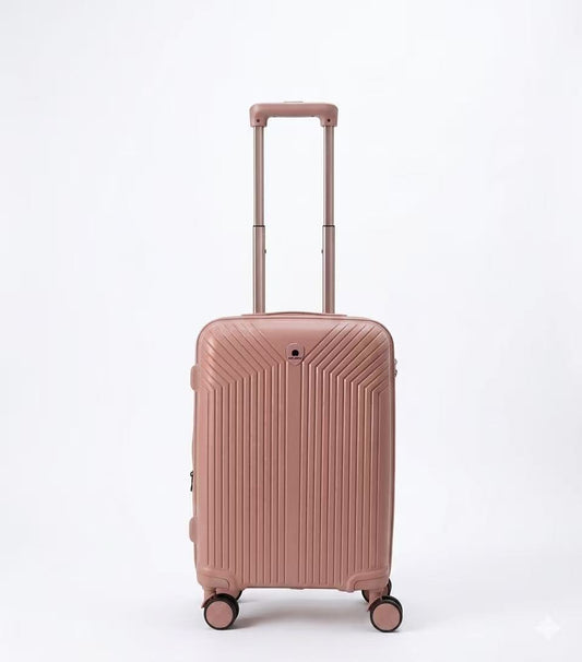 Delsey Luggage