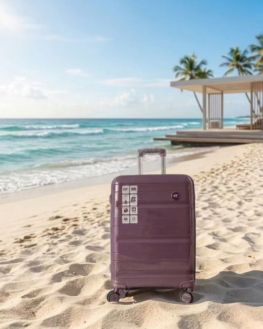 IT Luggage