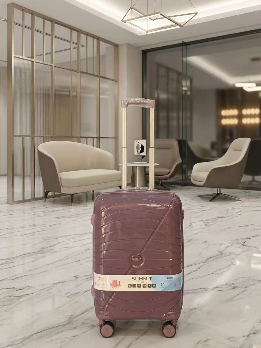 medium size  purple color  pp shell luggage bag
